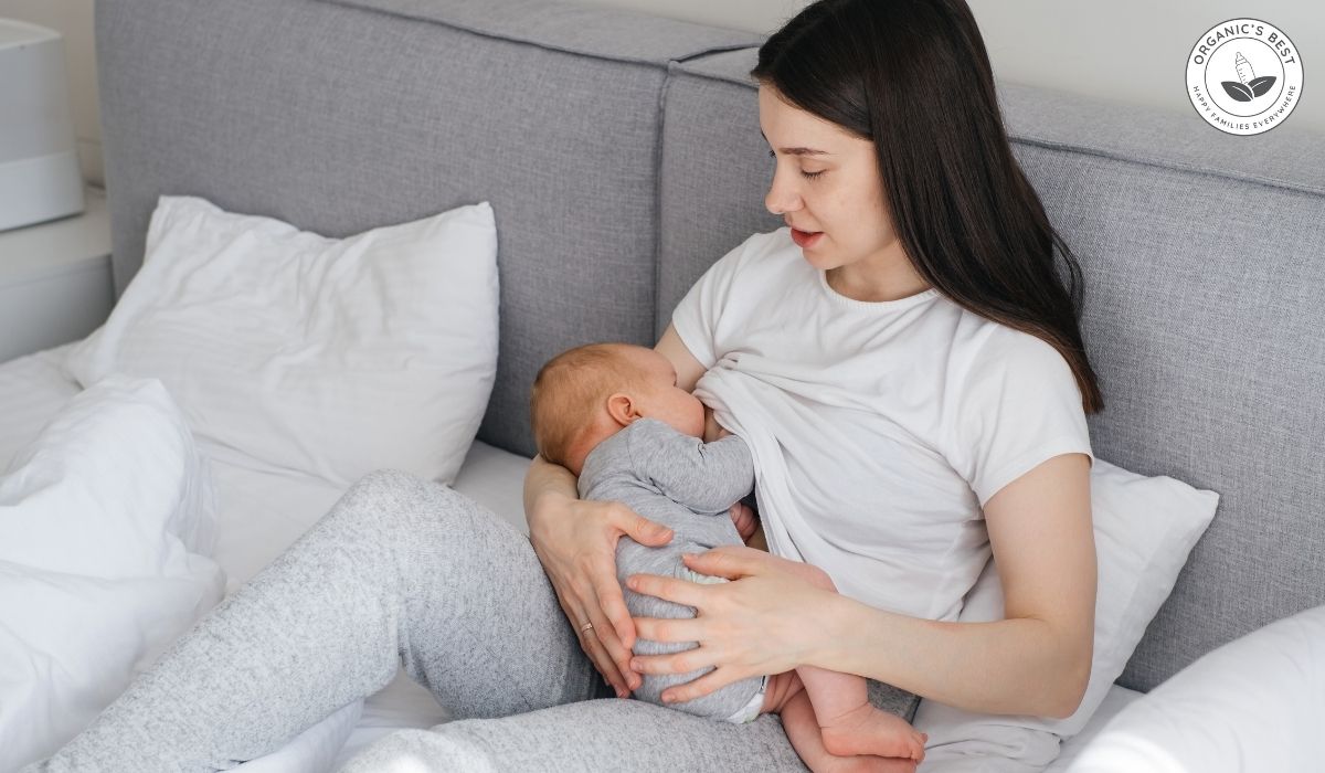 Best Formula for Breastfed Babies 2025 Guide