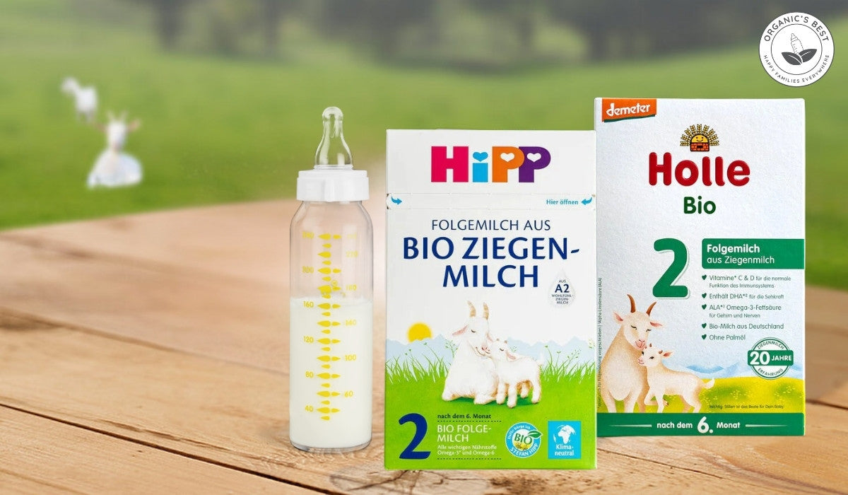 HiPP vs Holle Goat Milk Formula: The Comparison Guide